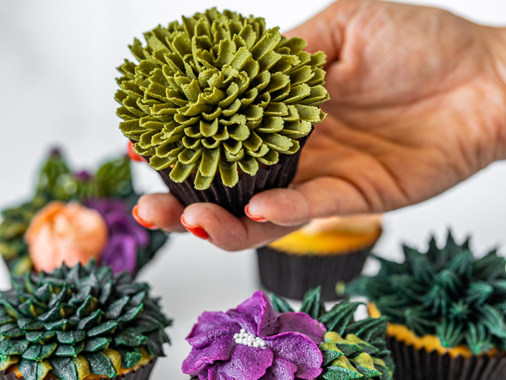 Buttercream Succulents Class