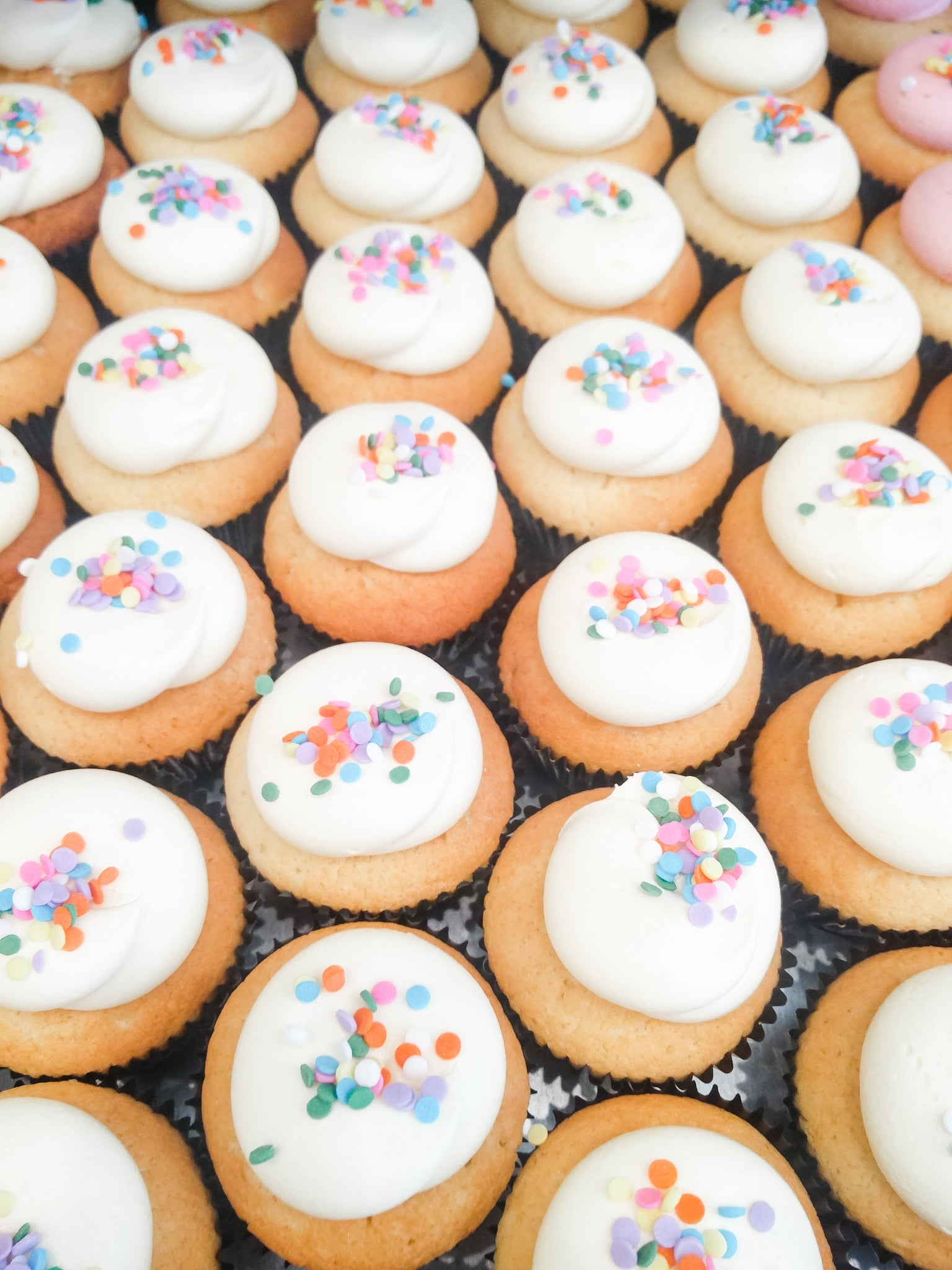 The Easiest Vanilla Cupcake Recipe in the World
