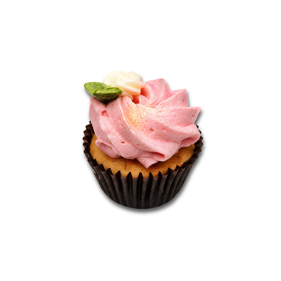 Mini Vanila Spring Cupcake