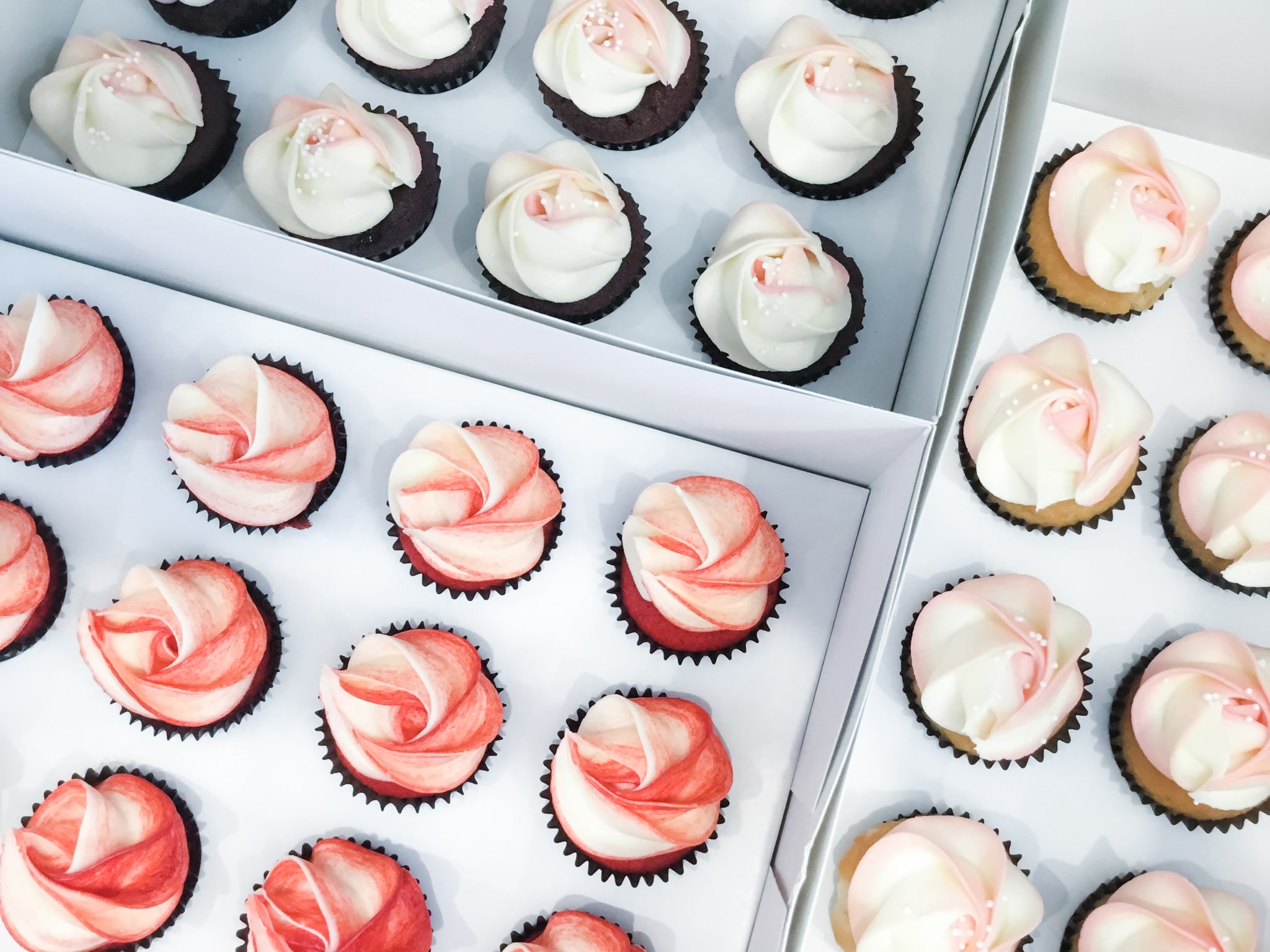 Valentine's Cupcake Class